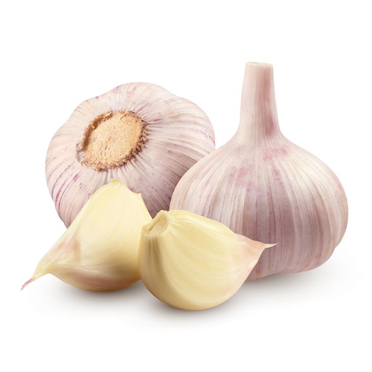 Garlic 